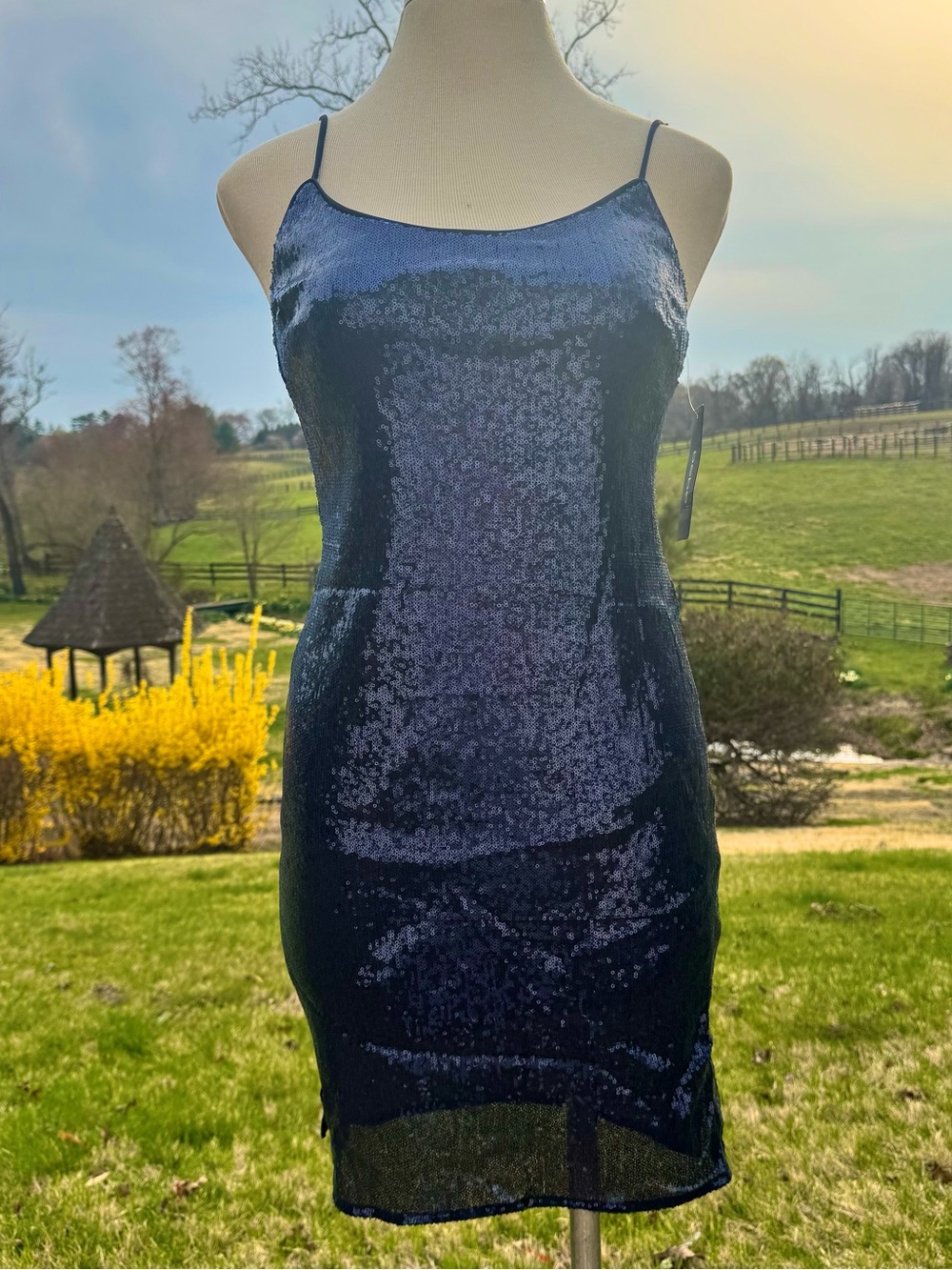 bebe Navy Sequin Mini Slip Dress